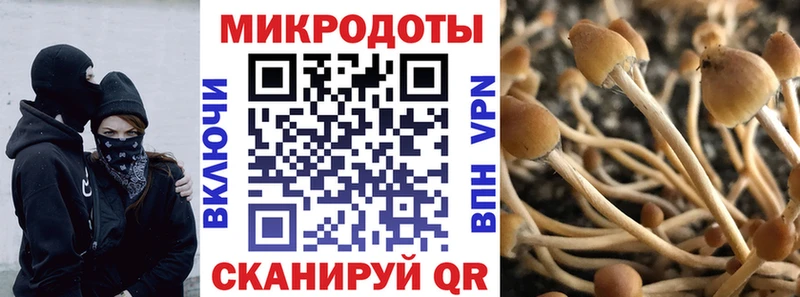 Галлюциногенные грибы Cubensis  Воркута 